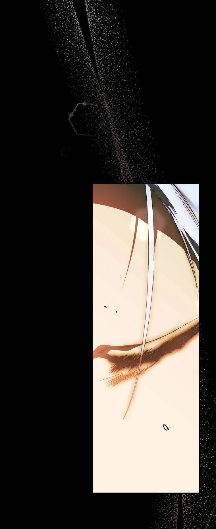 Bí Mật Của Quý Cô Chapter 72.5 - 46