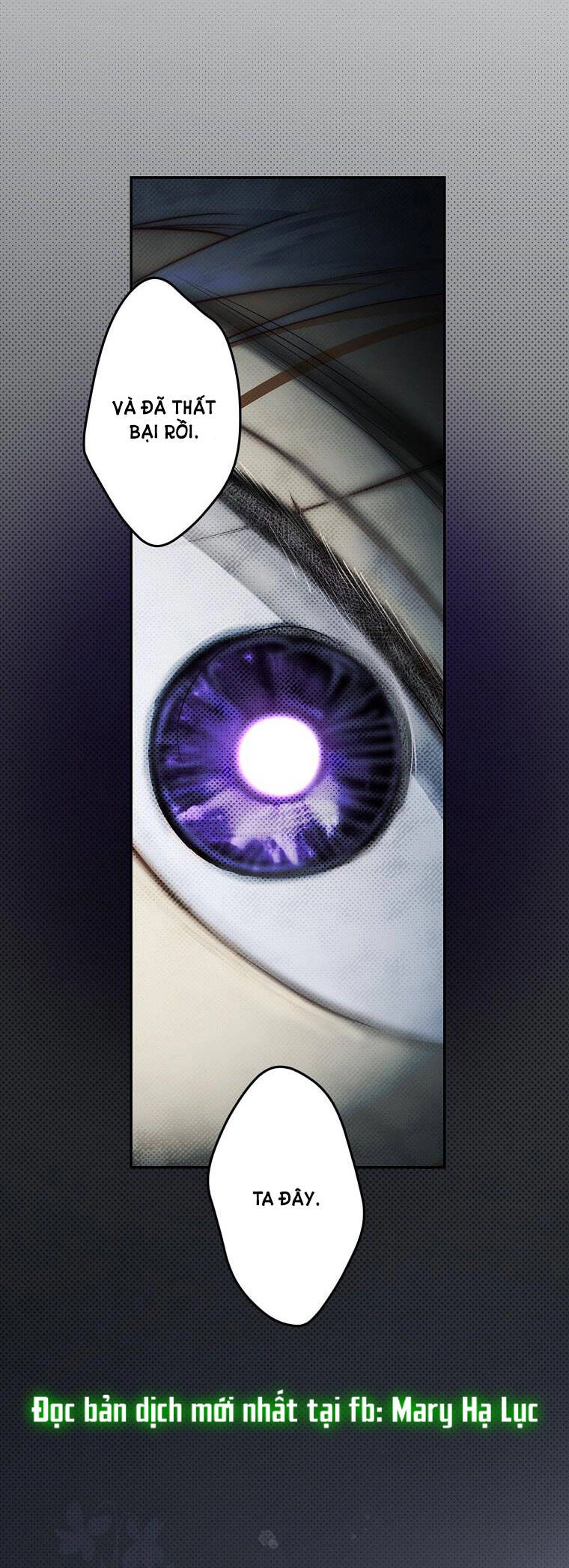 Bí Mật Của Quý Cô Chapter 73.2 - 53