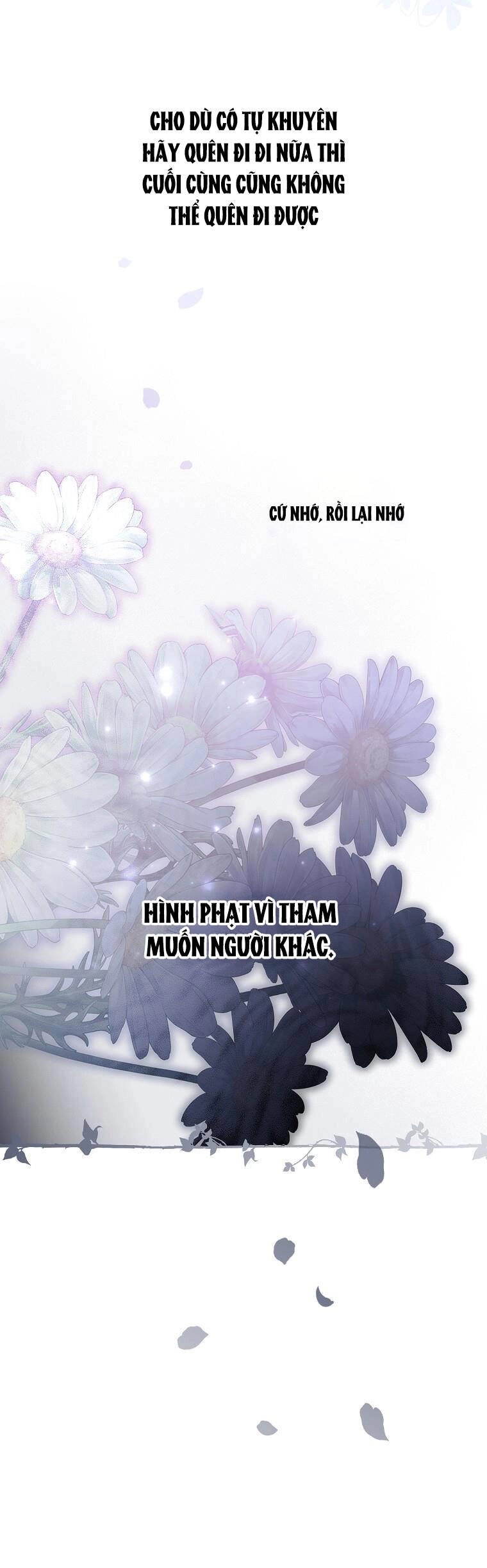 Bí Mật Của Quý Cô Chapter 73.2 - 56