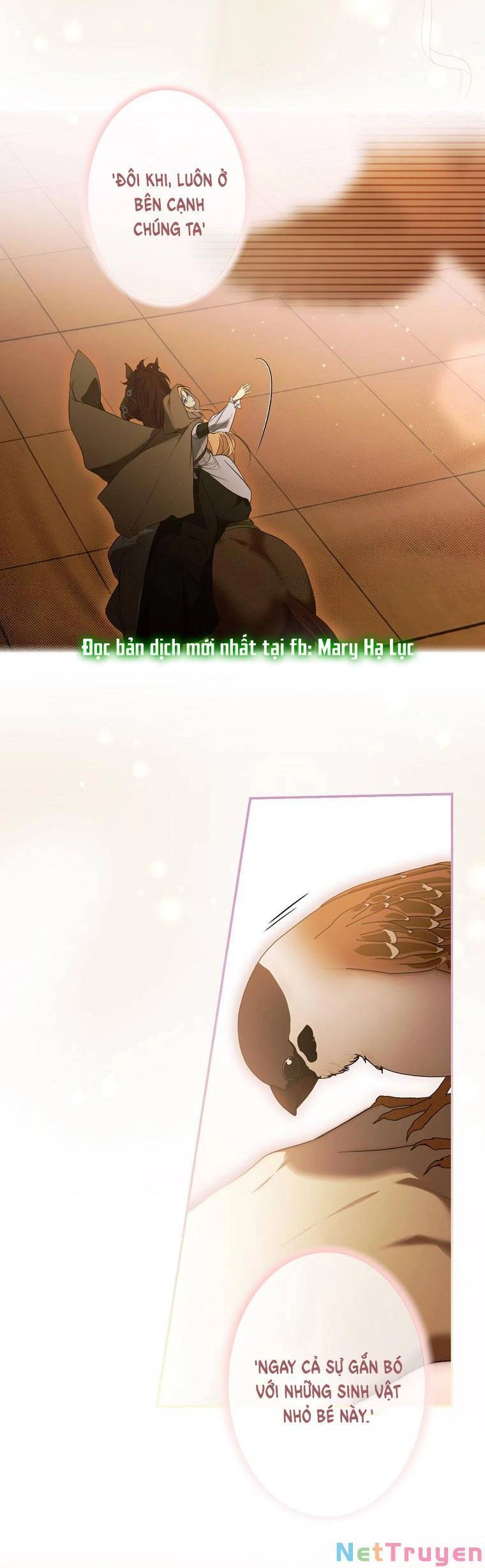 Bí Mật Của Quý Cô Chapter 77.2 - 12