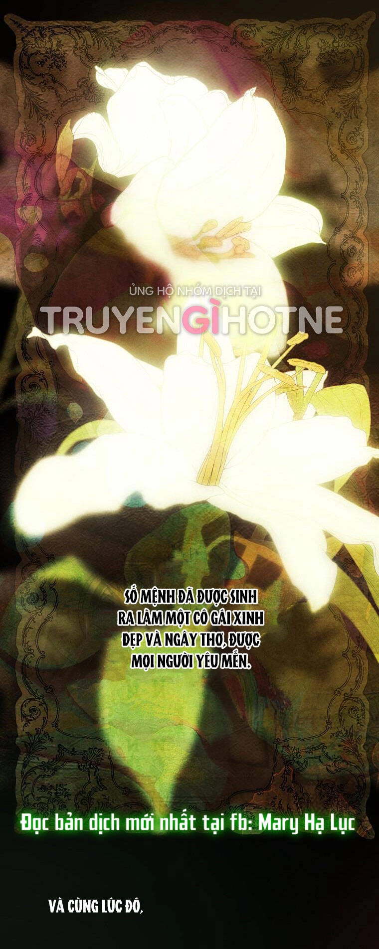 Bí Mật Của Quý Cô Chapter 78.1 - 15