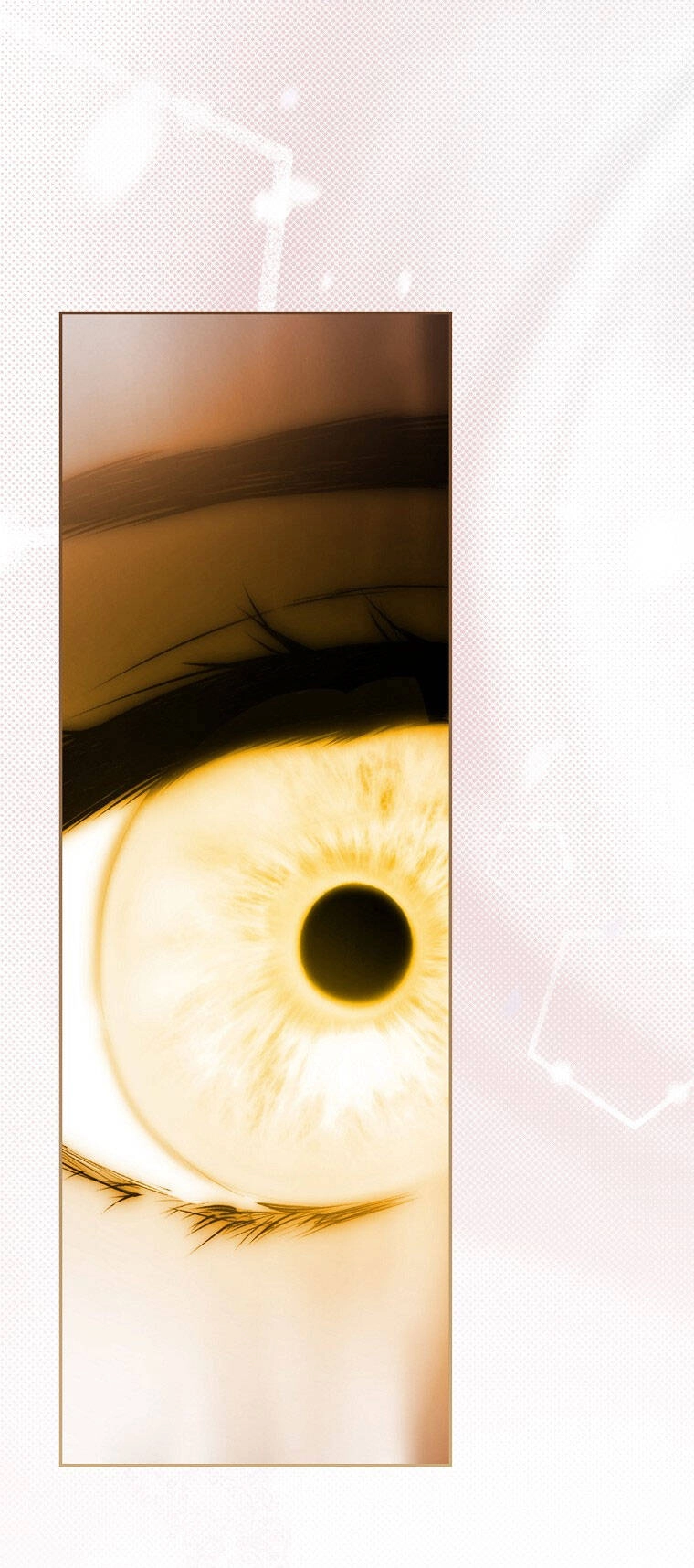 Bí Mật Của Quý Cô Chapter 78.2 - 21