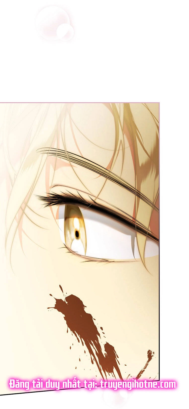 Bí Mật Của Quý Cô Chapter 78.2 - 29