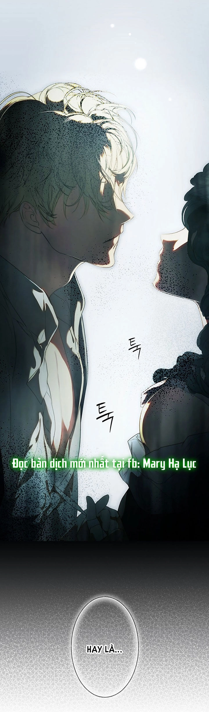 Bí Mật Của Quý Cô Chapter 80.1 - 29