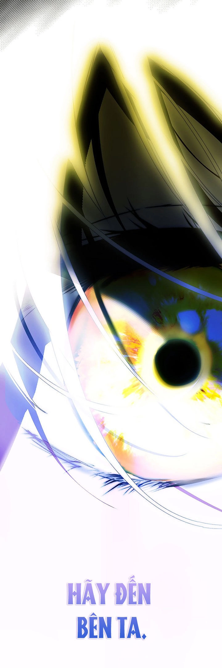 Bí Mật Của Quý Cô Chapter 80.2 - 31