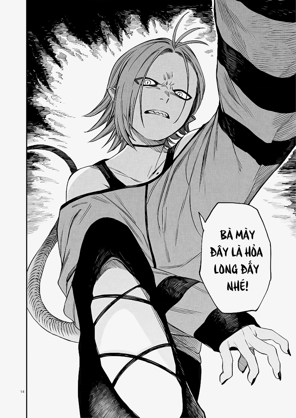 Hổ Vẫn Chưa Muốn Xơi Rồng Chapter 43 - 14