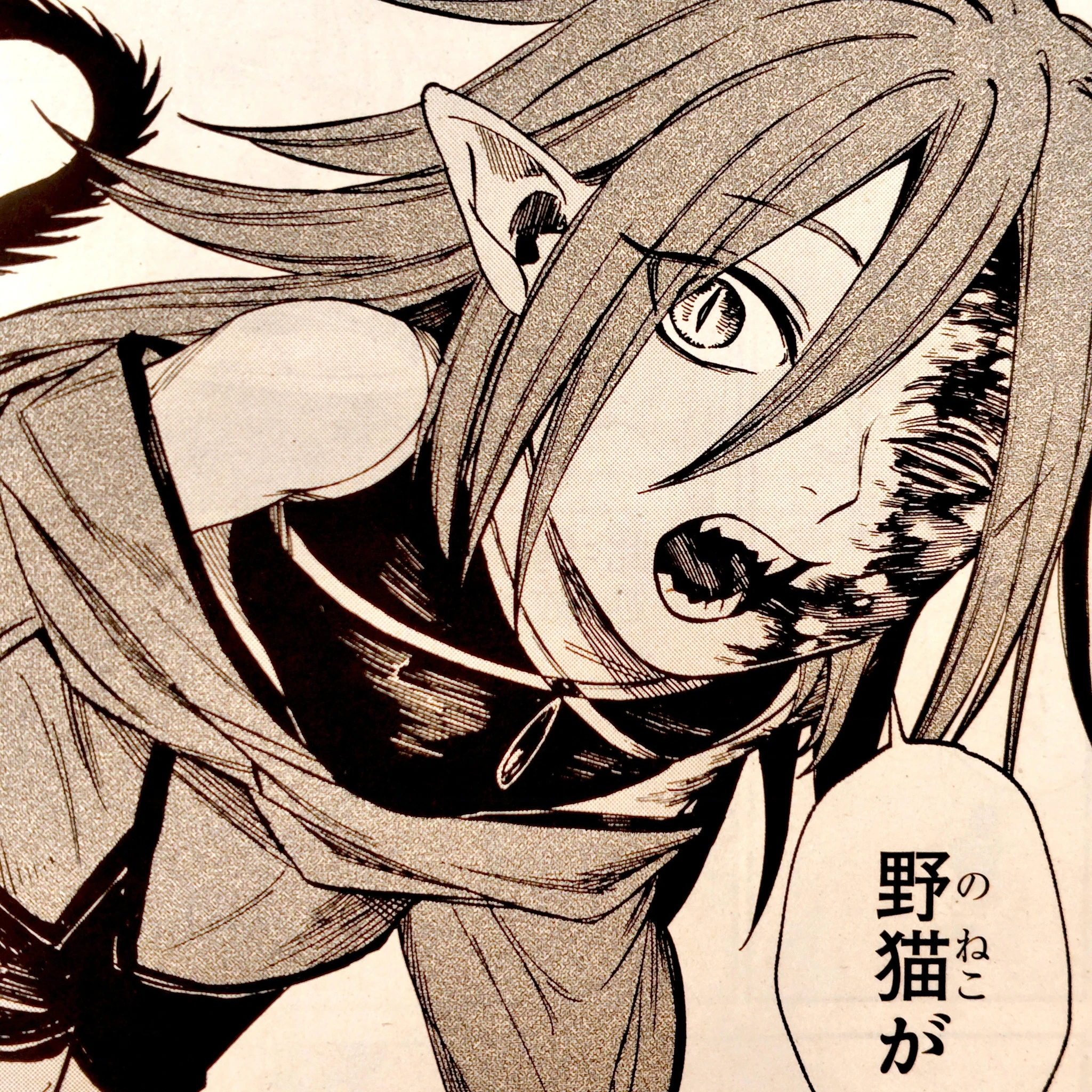 Hổ Vẫn Chưa Muốn Xơi Rồng Chapter 44 - 45