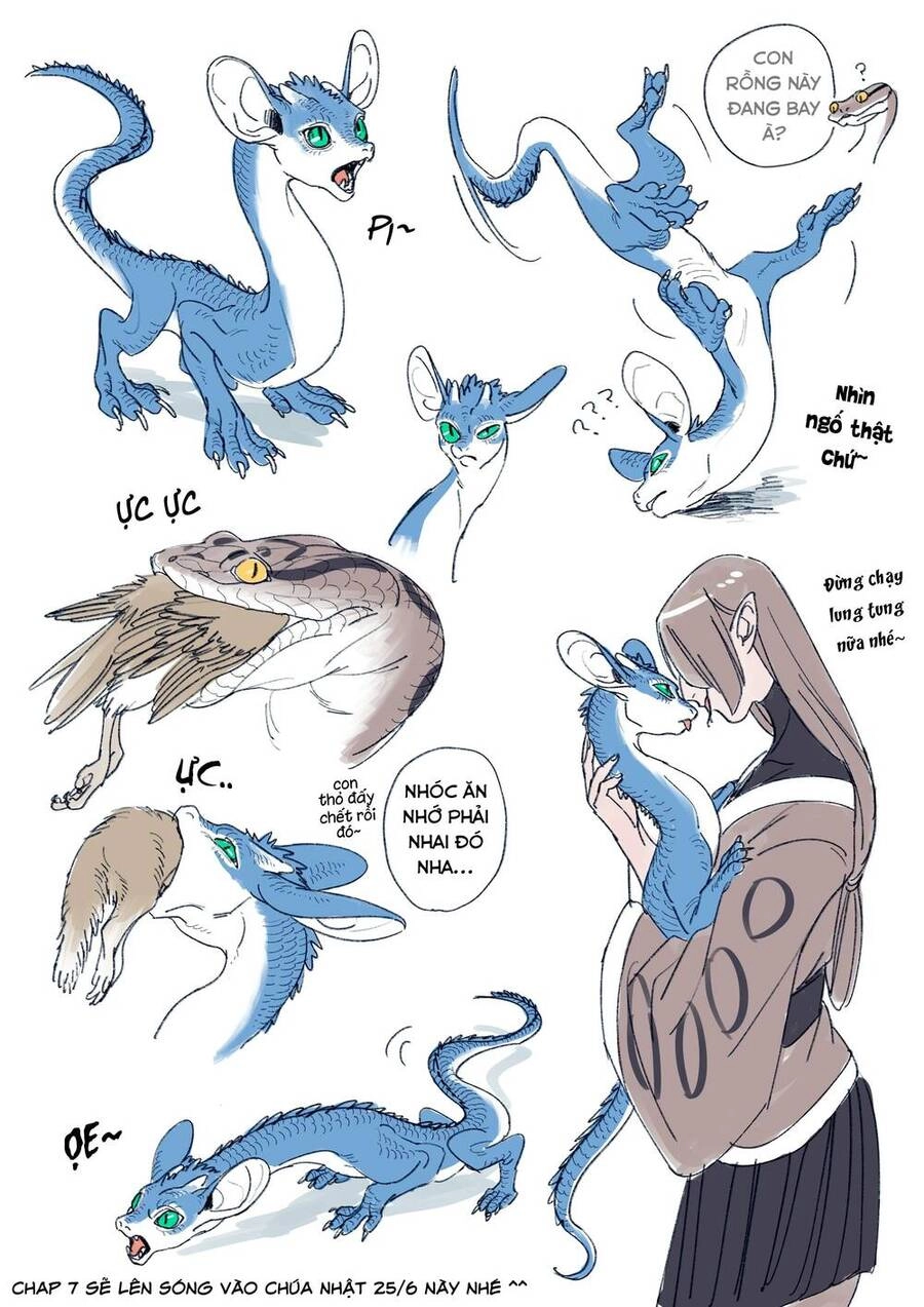 Hổ Vẫn Chưa Muốn Xơi Rồng Chapter 7.2 - 2