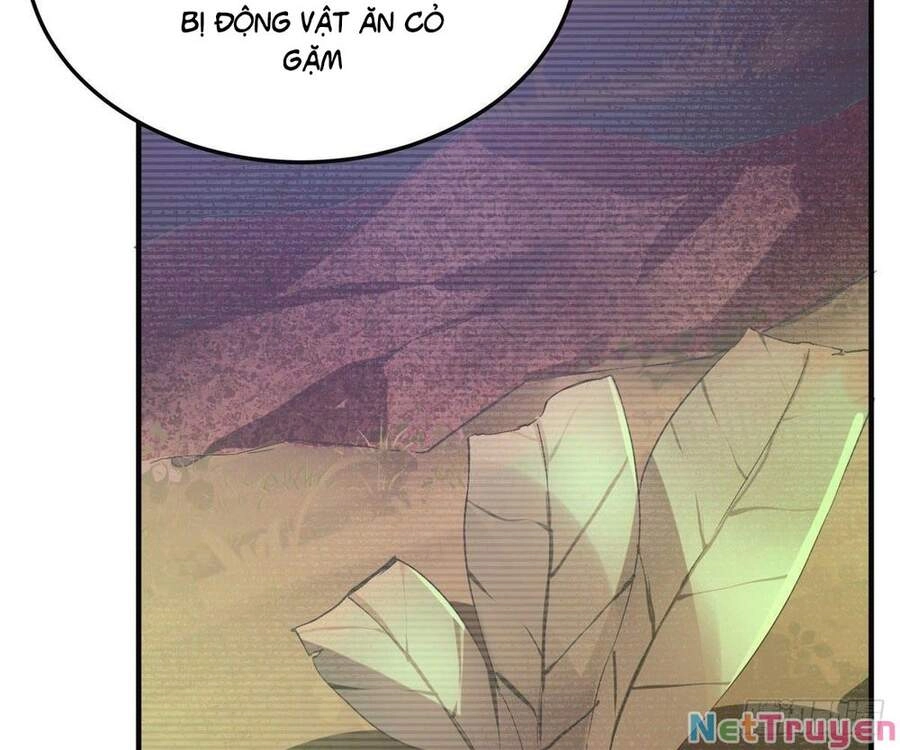 Thần Sủng Tiến Hóa Chapter 33 - 52