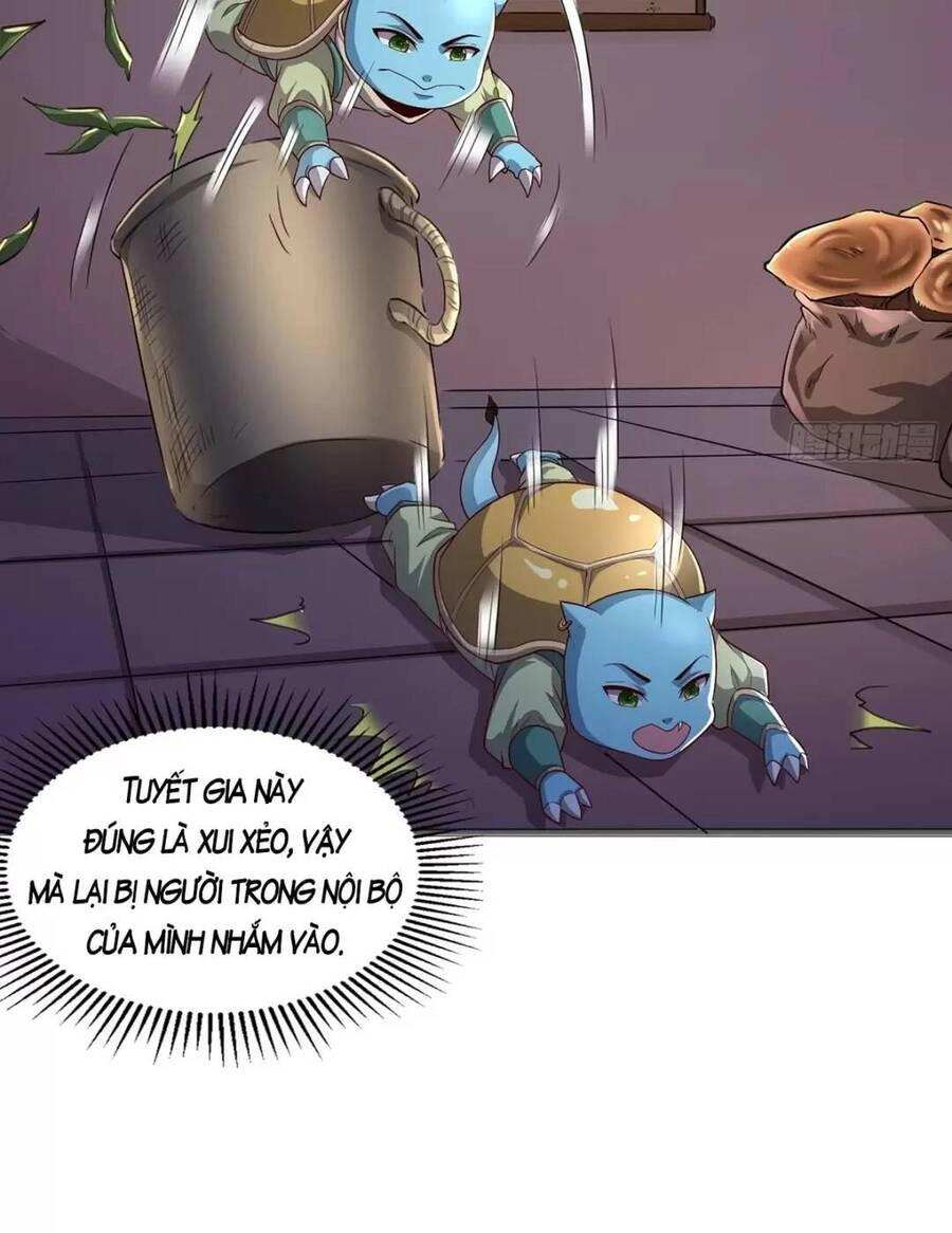 Trời Má ! Ta Chuyển Sinh Thành Rùa ! Chapter 2 - 11