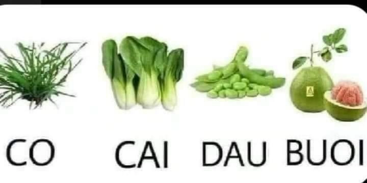 Code: Nostra Chapter 3 - 3