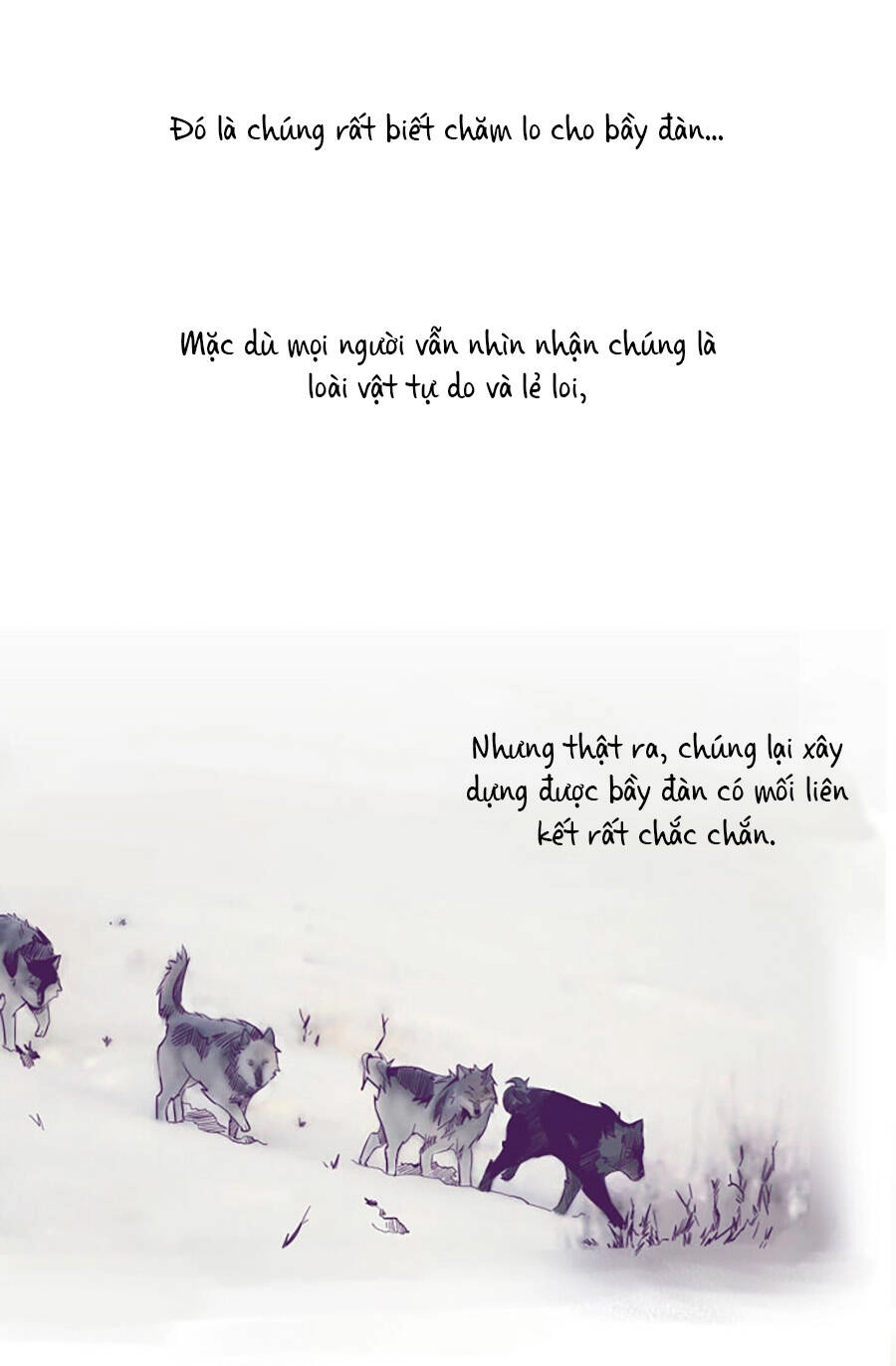 Lang Thành Chapter 11 - 25