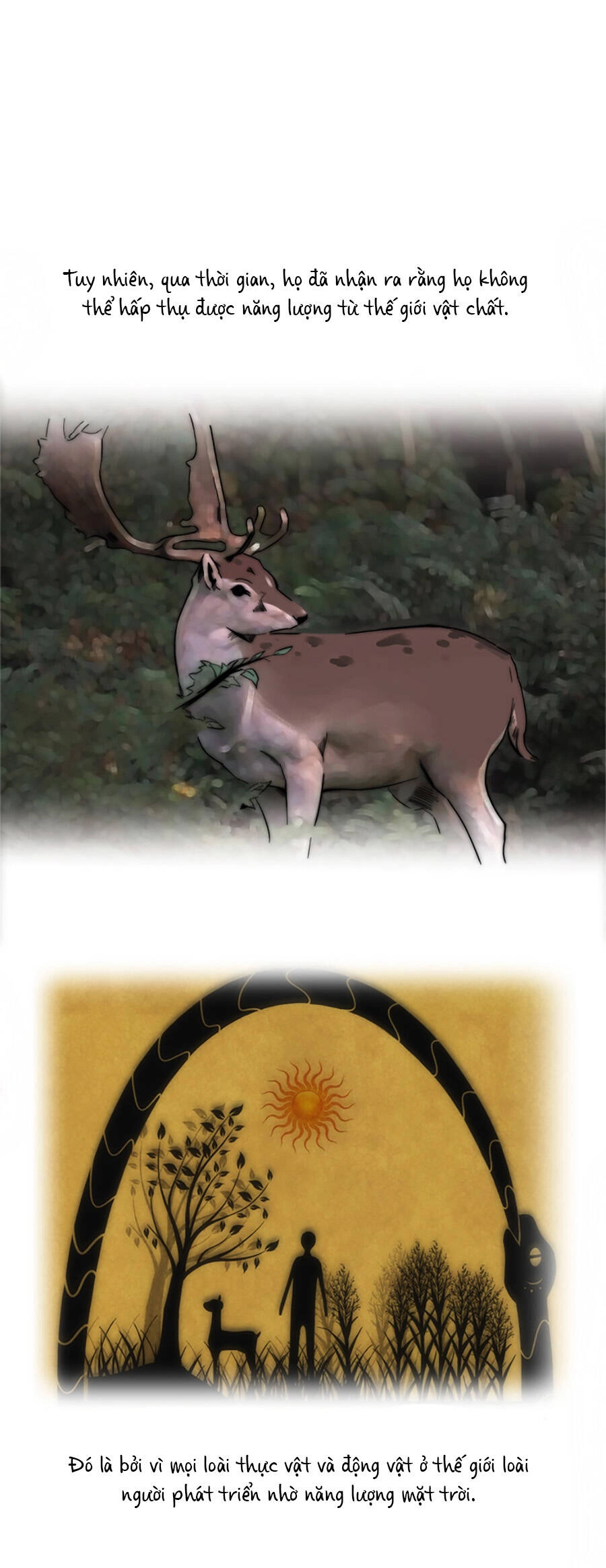 Lang Thành Chapter 19 - 5