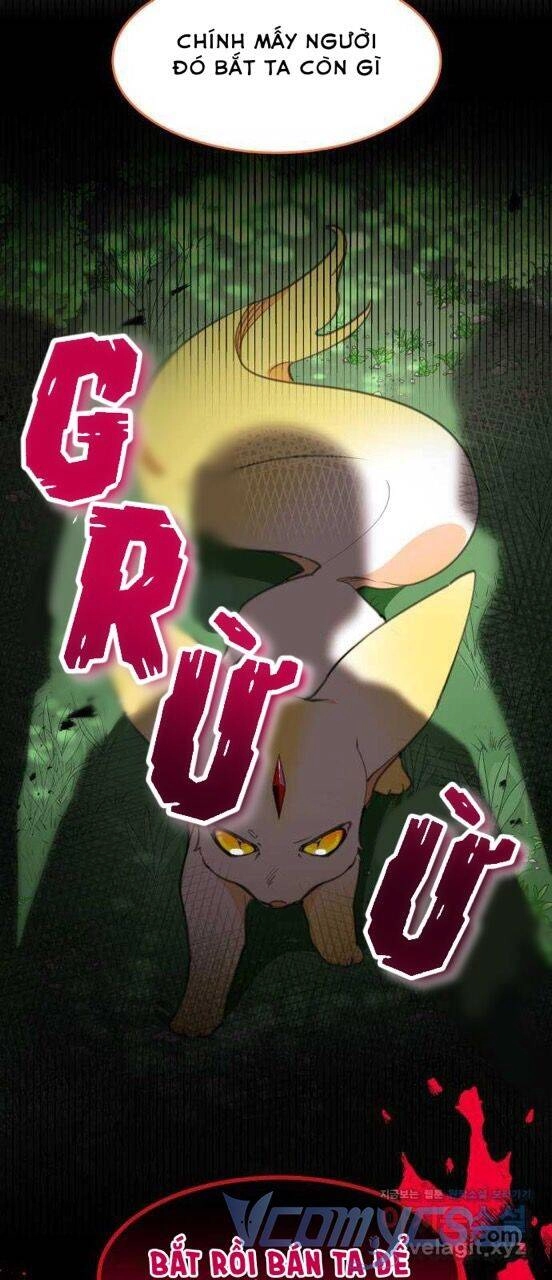 Công Chúa Lotto Chapter 16 - 19