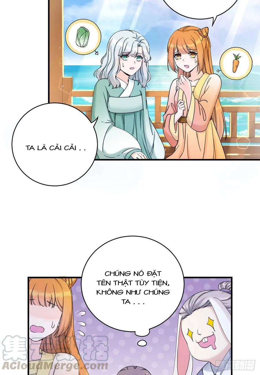 Đồ Đệ Nhà Ta Lại Quải Rồi Chapter 311 - 13