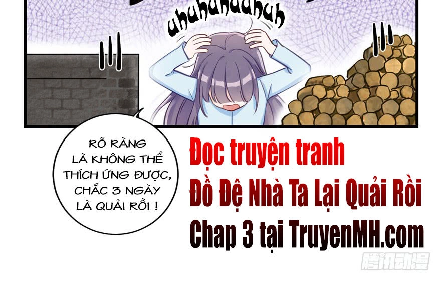 Đồ Đệ Nhà Ta Lại Quải Rồi Chapter 2 - 40