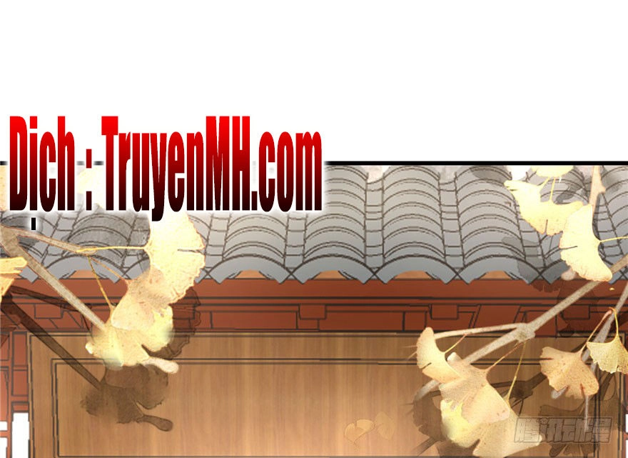 Đồ Đệ Nhà Ta Lại Quải Rồi Chapter 19 - 40