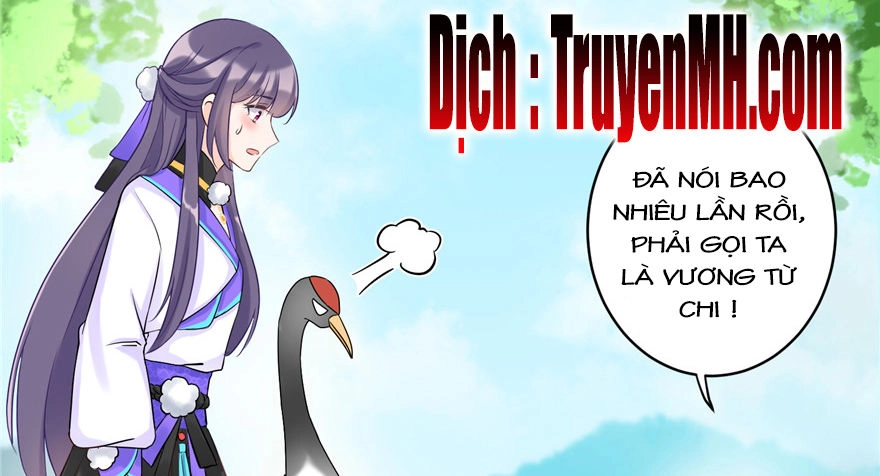 Đồ Đệ Nhà Ta Lại Quải Rồi Chapter 28 - 19