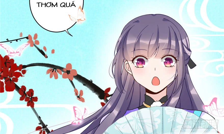 Đồ Đệ Nhà Ta Lại Quải Rồi Chapter 31 - 31