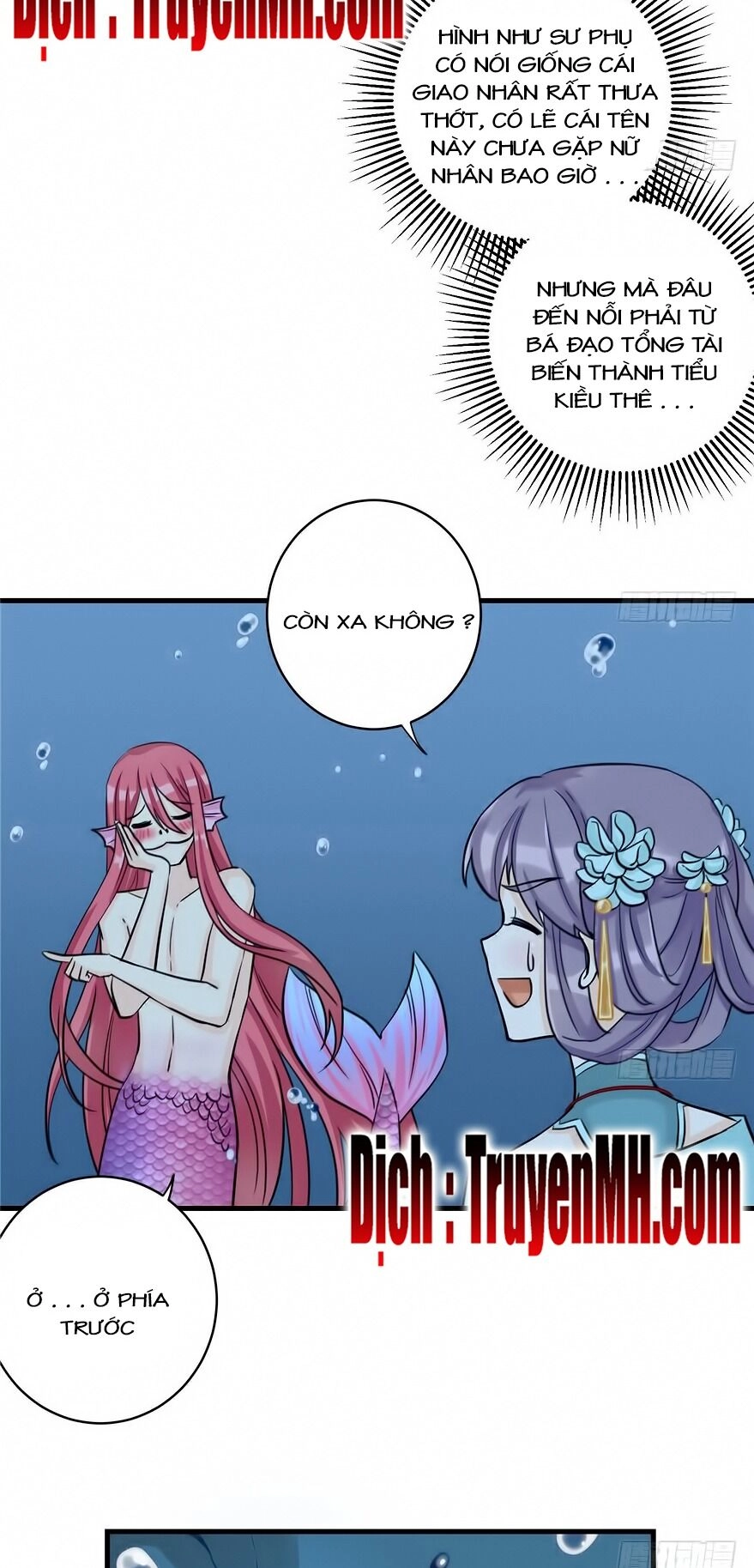 Đồ Đệ Nhà Ta Lại Quải Rồi Chapter 70 - 12