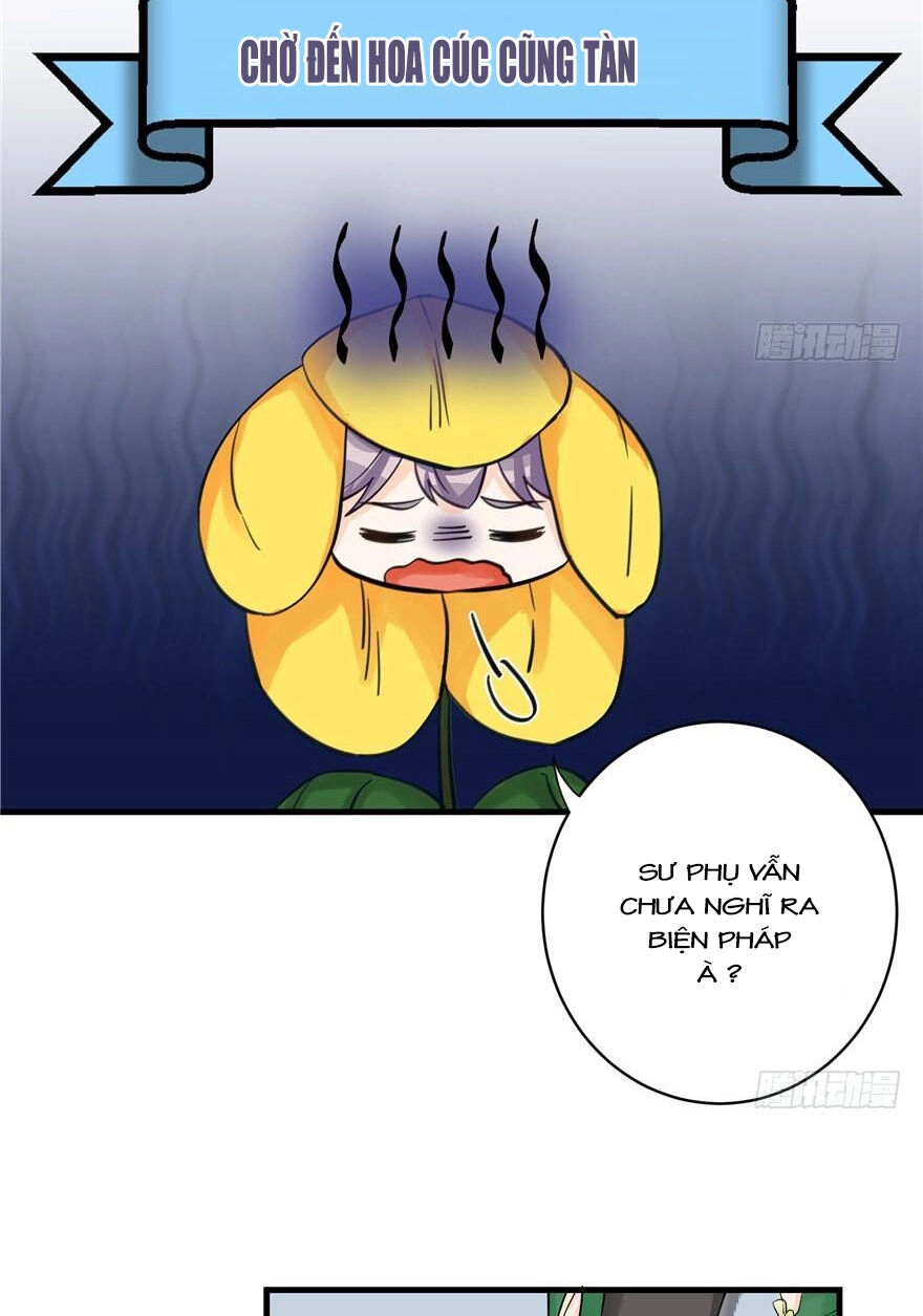 Đồ Đệ Nhà Ta Lại Quải Rồi Chapter 72 - 12