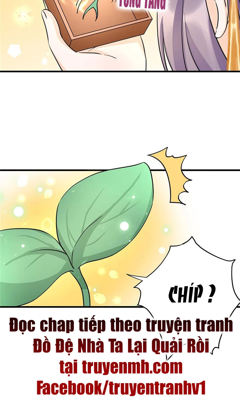 Đồ Đệ Nhà Ta Lại Quải Rồi Chapter 74 - 19