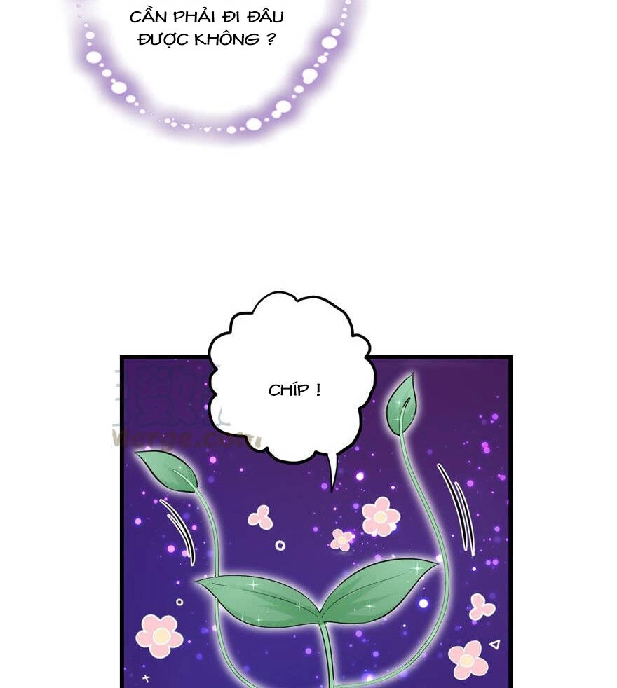 Đồ Đệ Nhà Ta Lại Quải Rồi Chapter 107 - 4