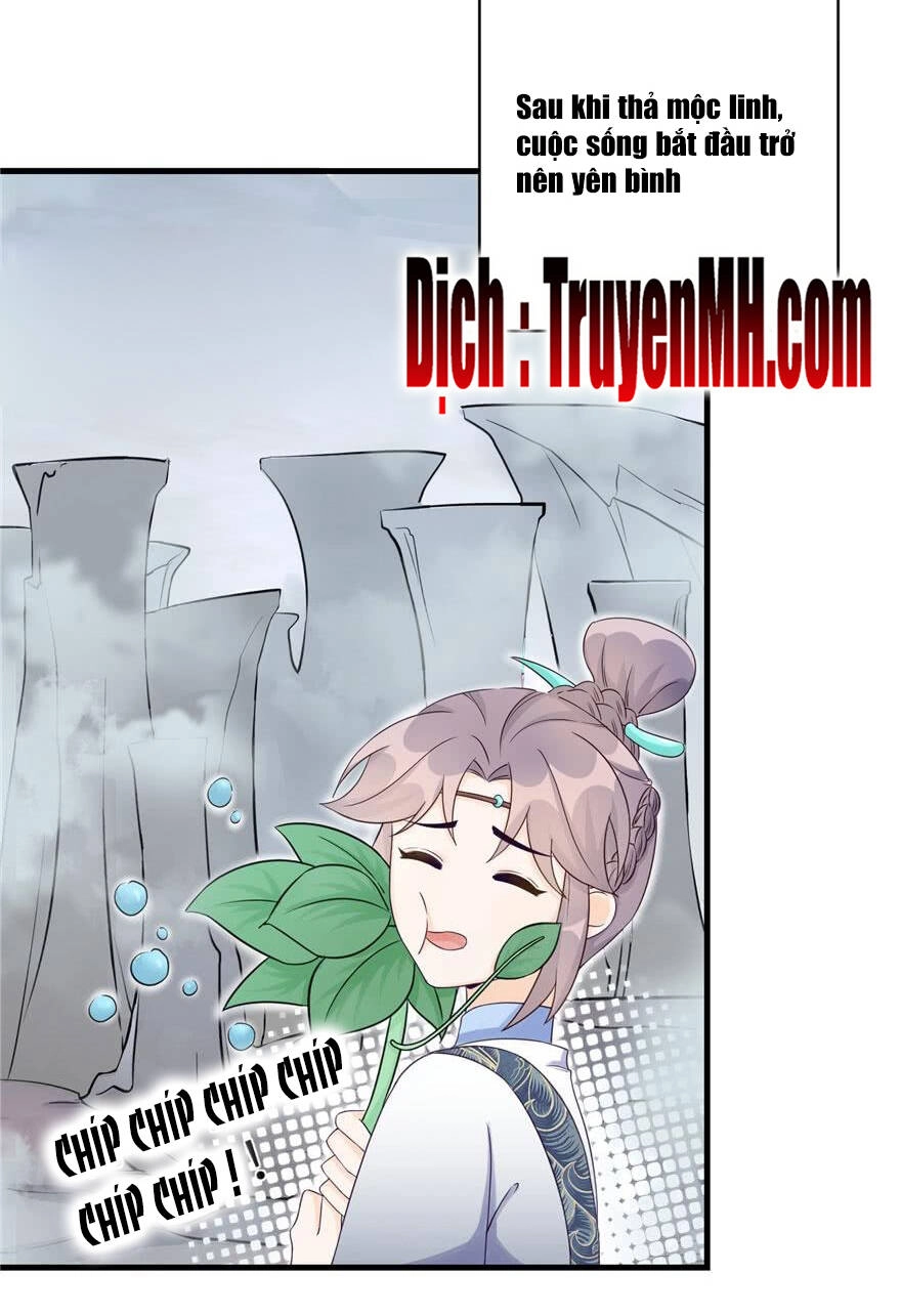 Đồ Đệ Nhà Ta Lại Quải Rồi Chapter 139 - 6