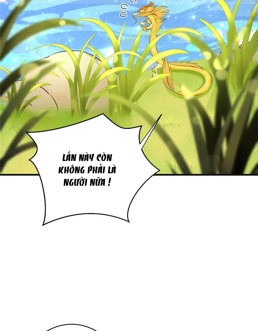 Đồ Đệ Nhà Ta Lại Quải Rồi Chapter 154 - 15