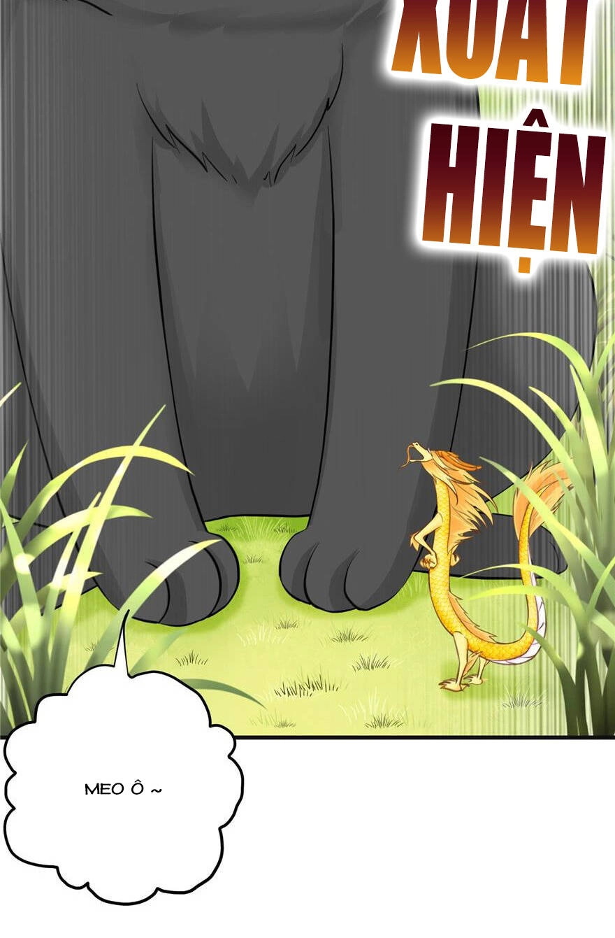 Đồ Đệ Nhà Ta Lại Quải Rồi Chapter 155 - 3