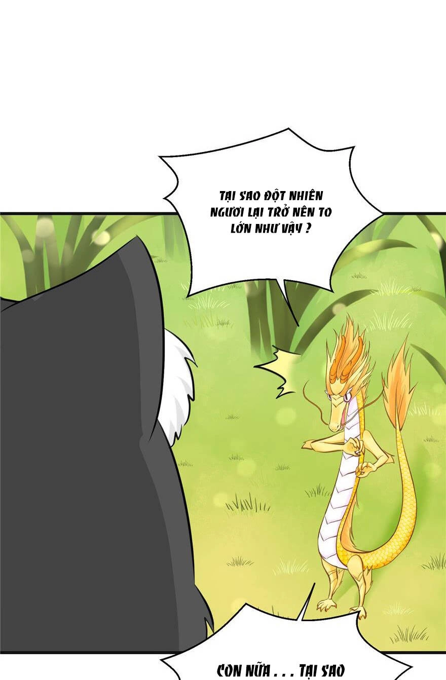 Đồ Đệ Nhà Ta Lại Quải Rồi Chapter 155 - 4