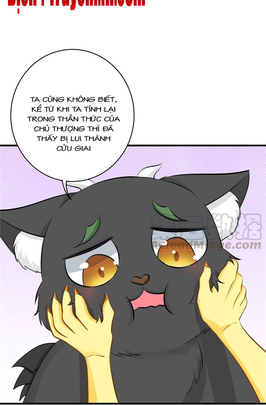 Đồ Đệ Nhà Ta Lại Quải Rồi Chapter 155 - 8