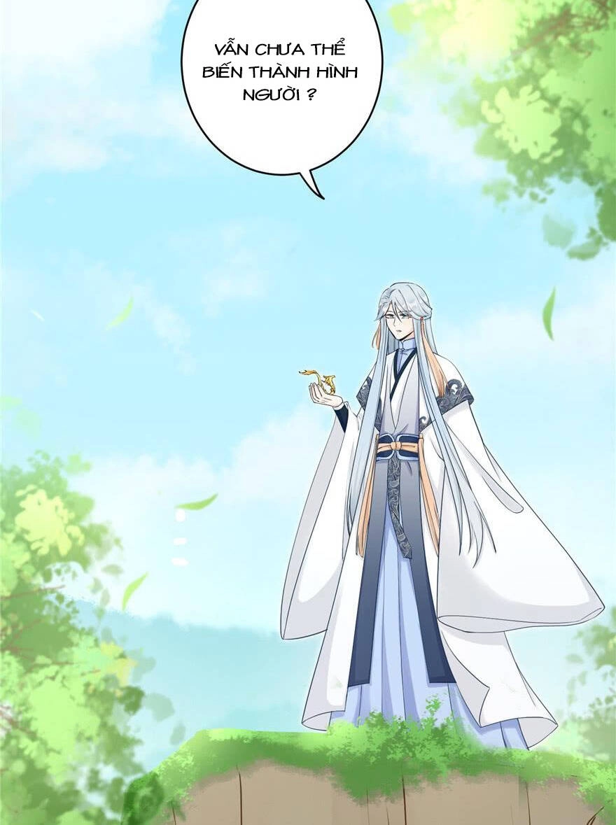 Đồ Đệ Nhà Ta Lại Quải Rồi Chapter 156 - 13