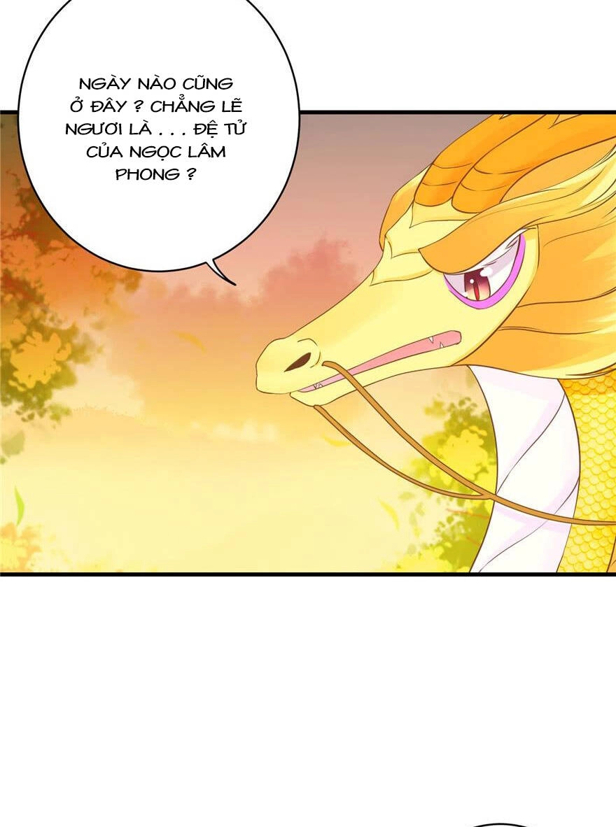 Đồ Đệ Nhà Ta Lại Quải Rồi Chapter 158 - 8