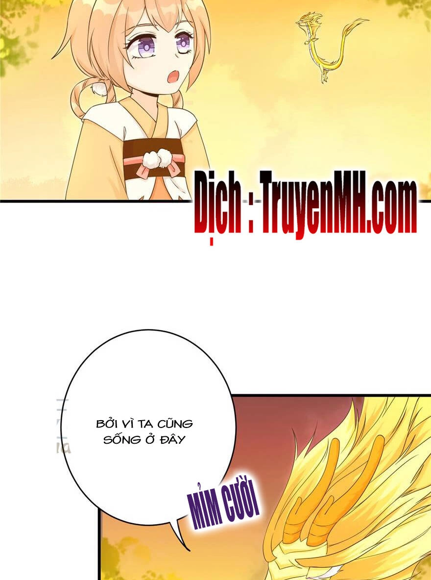 Đồ Đệ Nhà Ta Lại Quải Rồi Chapter 158 - 12