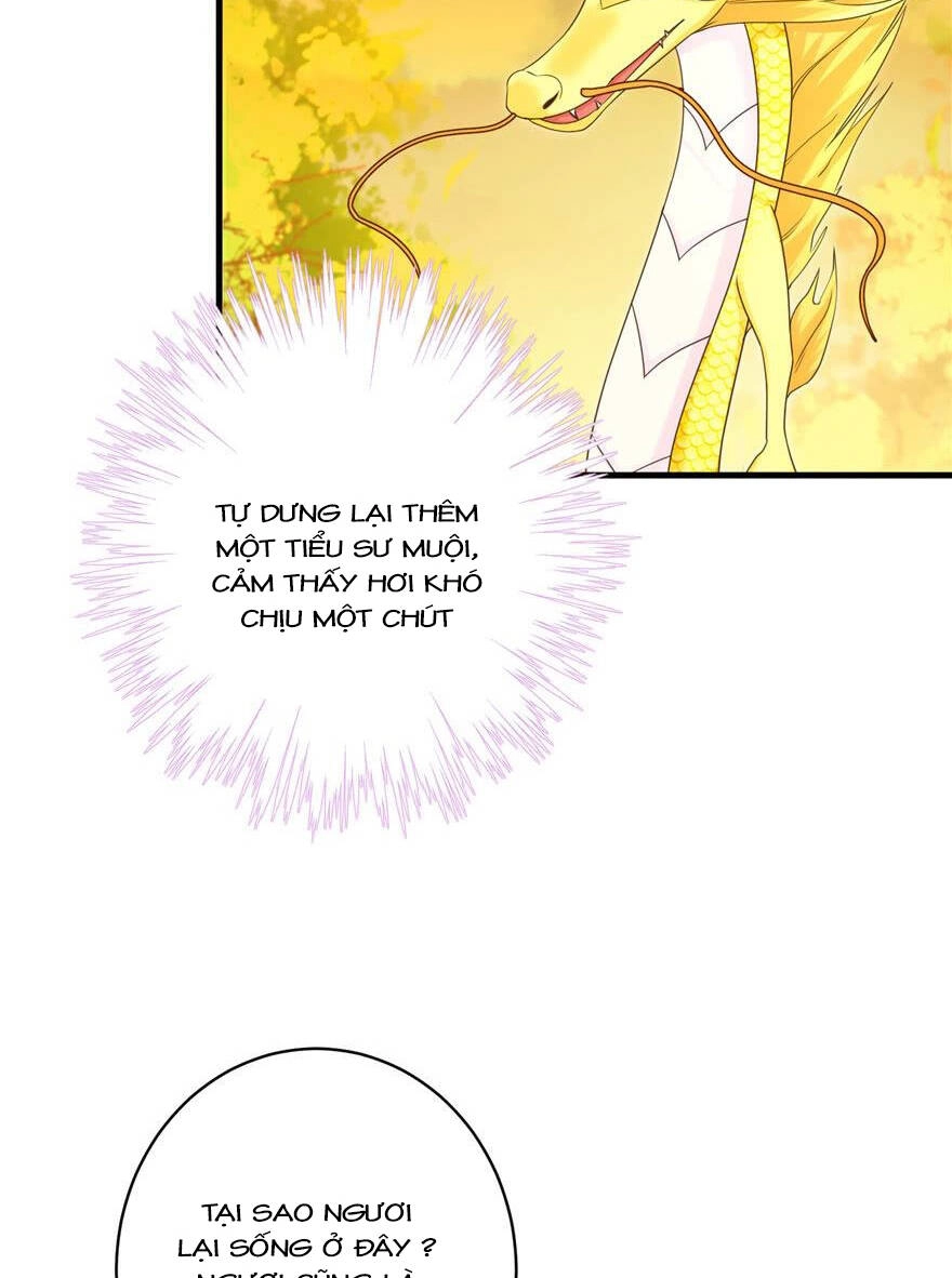 Đồ Đệ Nhà Ta Lại Quải Rồi Chapter 158 - 13