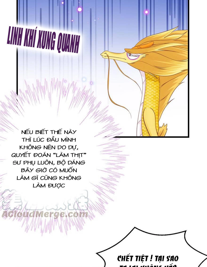 Đồ Đệ Nhà Ta Lại Quải Rồi Chapter 160 - 14