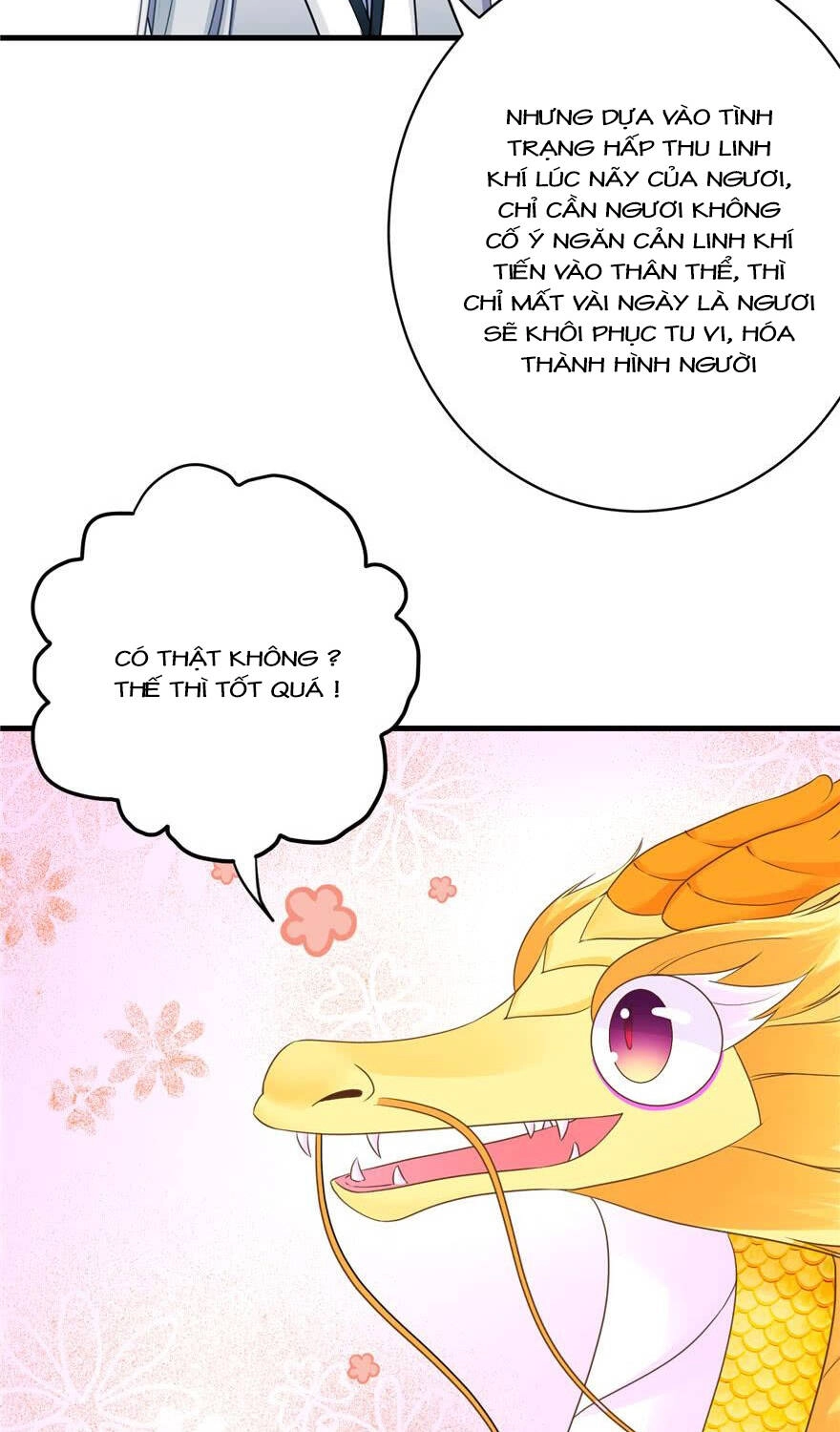 Đồ Đệ Nhà Ta Lại Quải Rồi Chapter 161 - 14