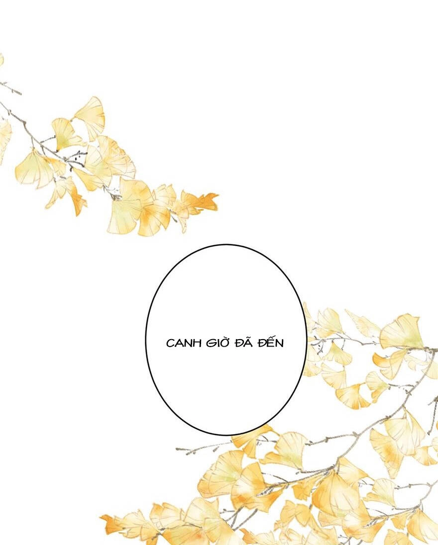 Đồ Đệ Nhà Ta Lại Quải Rồi Chapter 168 - 12