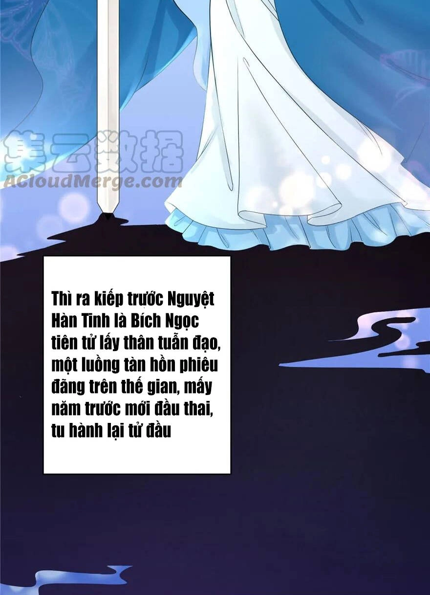 Đồ Đệ Nhà Ta Lại Quải Rồi Chapter 174 - 17