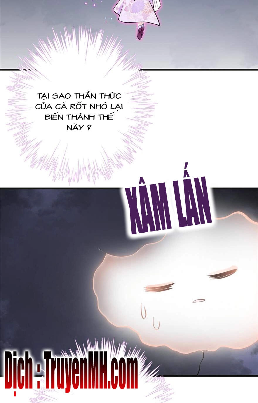 Đồ Đệ Nhà Ta Lại Quải Rồi Chapter 207 - 12