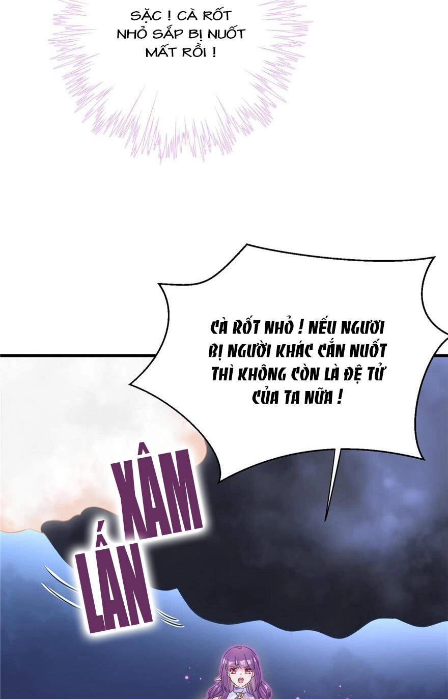 Đồ Đệ Nhà Ta Lại Quải Rồi Chapter 207 - 13