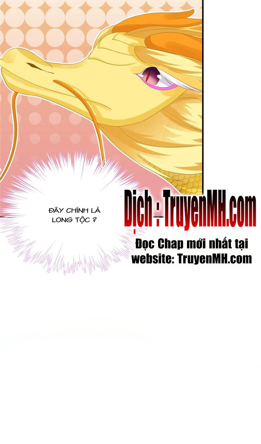 Đồ Đệ Nhà Ta Lại Quải Rồi Chapter 237 - 19