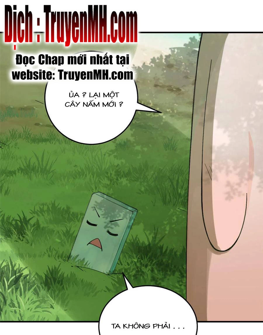 Đồ Đệ Nhà Ta Lại Quải Rồi Chapter 284 - 4