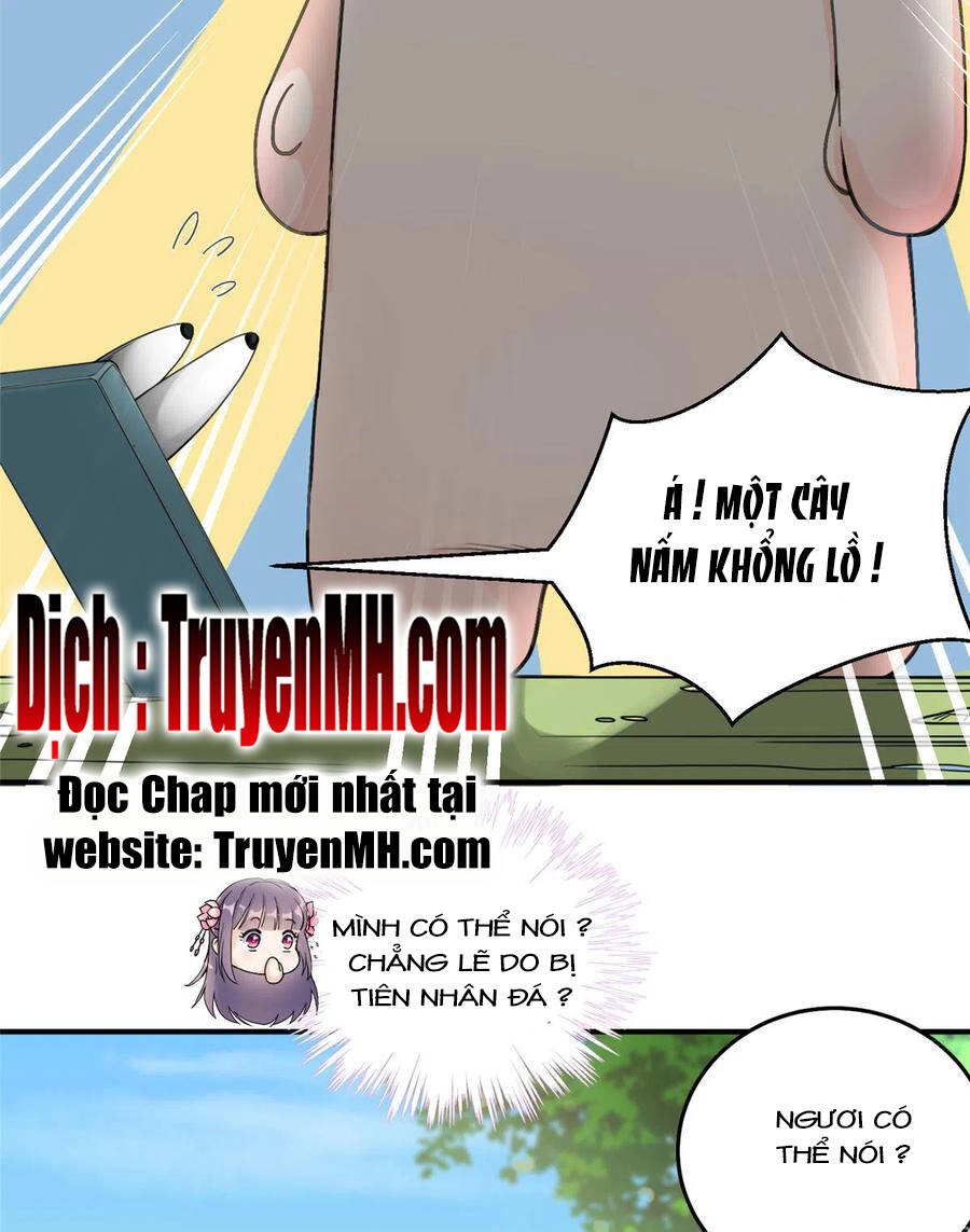 Đồ Đệ Nhà Ta Lại Quải Rồi Chapter 284 - 6