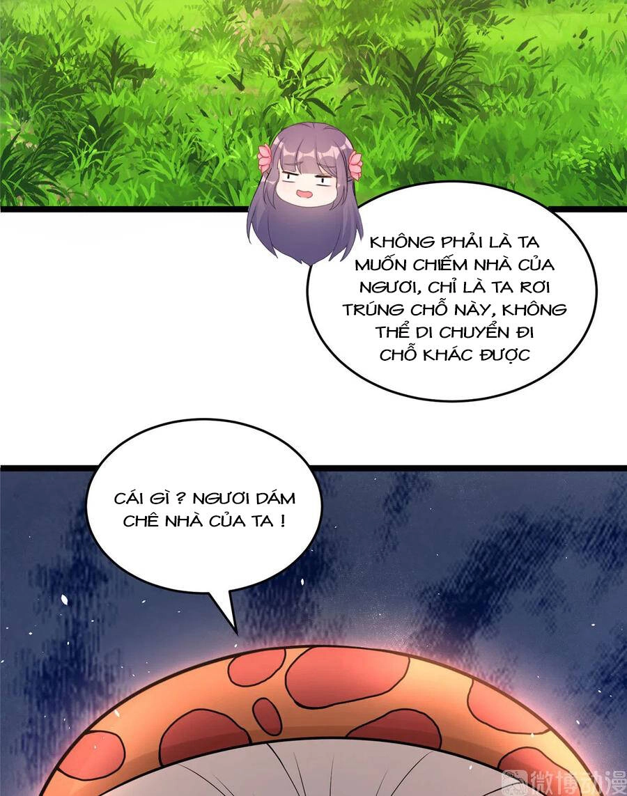 Đồ Đệ Nhà Ta Lại Quải Rồi Chapter 284 - 11