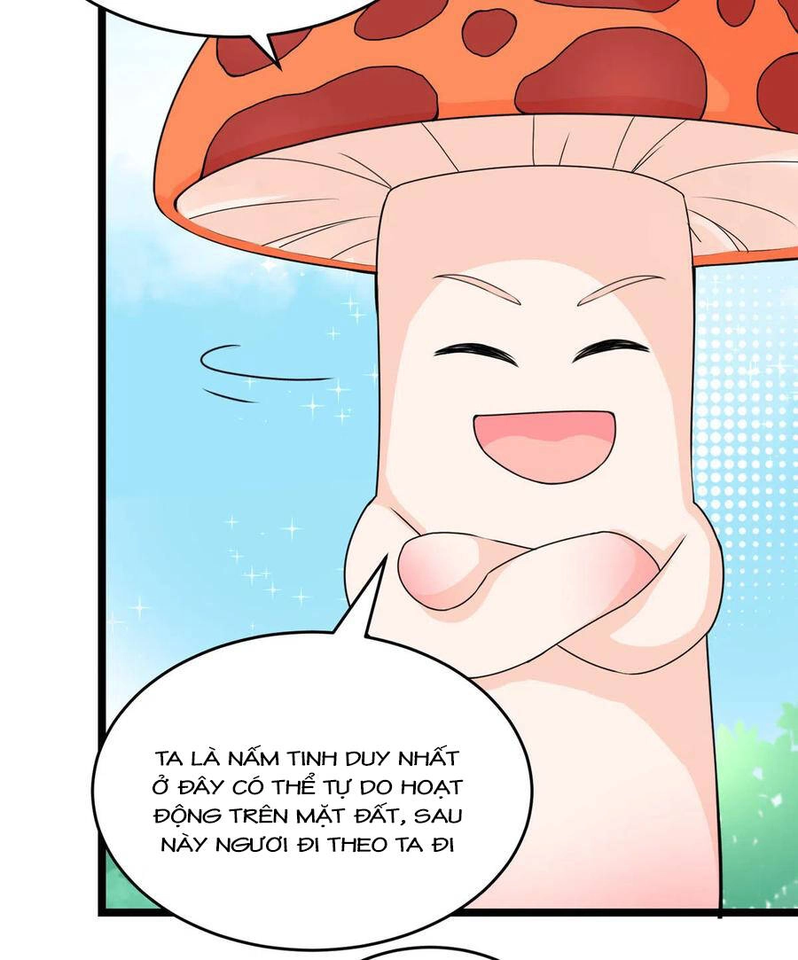 Đồ Đệ Nhà Ta Lại Quải Rồi Chapter 284 - 15