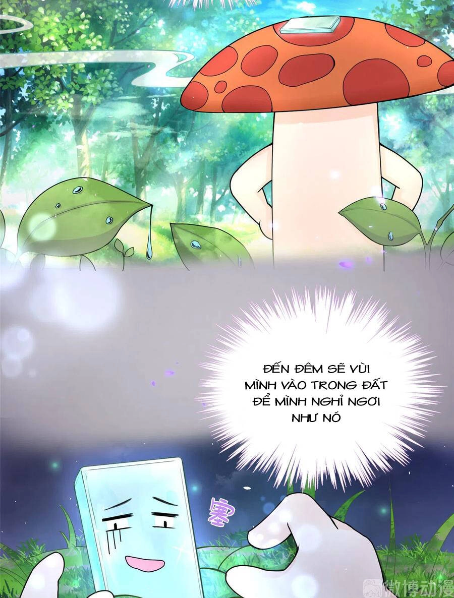 Đồ Đệ Nhà Ta Lại Quải Rồi Chapter 284 - 21