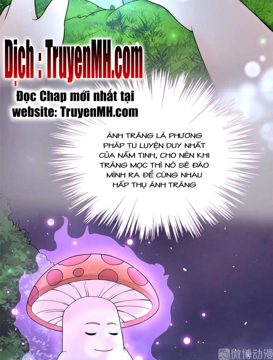 Đồ Đệ Nhà Ta Lại Quải Rồi Chapter 284 - 22