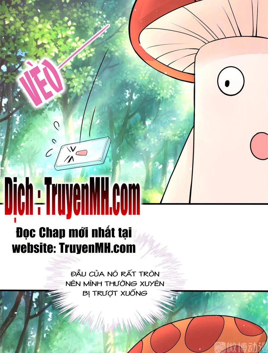 Đồ Đệ Nhà Ta Lại Quải Rồi Chapter 284 - 24